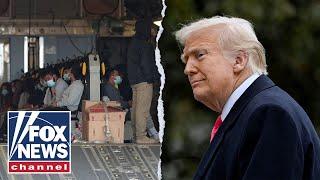 Trump VICTORIOUS in Supreme Court: 'Fire up the deportation planes'