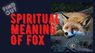 The Spiritual Meaning Of Fox and Fox Spirit Animal Video New Must Watch!