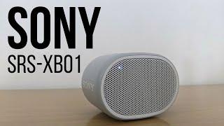 Обзор портативной колонки SONY SRS-XB01