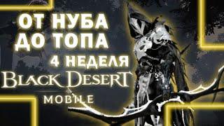 [Black Desert Mobile] Дневник: Chiki.Po / Четвертая неделя / От нуба до топа