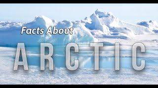 Some Interesting Facts about Arctic - Amazing Facts About Arctic Circle - Known Facts About Arctic