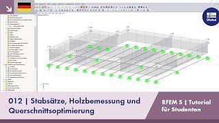 RFEM 5 Tutorial für Studenten | 012 Stabsätze, Holzbemessung und Querschnittsoptimierung