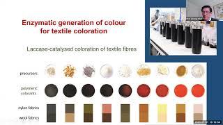 Fashion, Textiles and Product Design webinar
