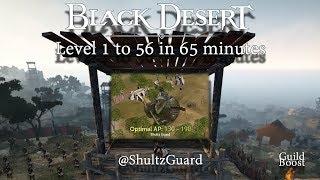 Level 56 in 65 min - BDO