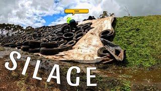 Covering the Silage | Pinoy Dairy Farmer in Australia