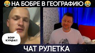 НА бобре В географию.. (юмор) чат рулетка