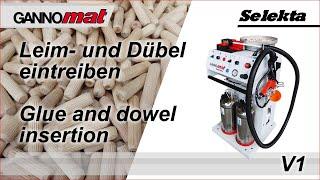 GANNOMAT Selekta / Dübeleintreibgerät / Handheld glue and dowel inserter