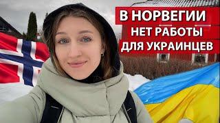 Трудности поиска работы в Норвегии для украинцев. Подводные камни о помощи НАВ в поиске работы