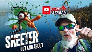 Skeeter  is live!