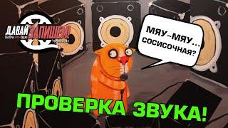 Проверка звука микрофона перед концертом. Так ли нужны сосисочные?