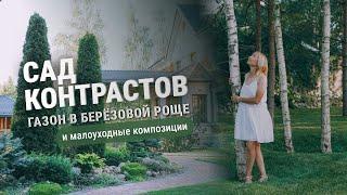 Сад контрастов. Газон в берёзовой роще и малоуходные композиции.