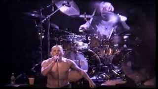 Tool - H. (Live) [HD 720p]