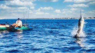 Multiple BUCKET LIST FISH Caught within a Mile of the Beach!