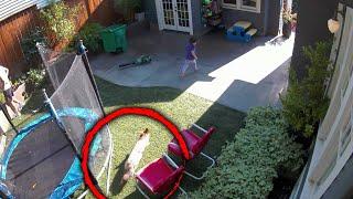 Coyote Chases 4-Year-Old Girl Through Her Backyard