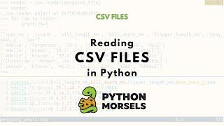 Reading a CSV file in Python