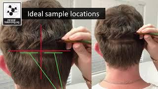 How To Collect a Hair Sample for an HTMA in 3 Easy Steps