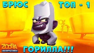 ГОРИЛЛА БРЮС ЛОМАЕТ КАБИНЫ ЗА ТОП 1 В ИГРЕ ZOOBA: Free for all