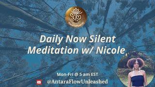 Daily Now 20-Min Silent Meditation w/ Nicole (day 330)