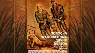 Полоска нескошенных диких цветов (1979) драма