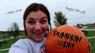FALL DECORATING + PUMPKIN FARM pt.1 | ava sander