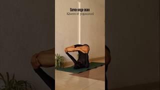 Queen of yoga poses.'Sarva' means 'all' and 'anga' means 'body'. (full body pose) #yoga