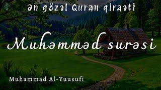 Muhammad surəsi - Muhammad Al Yuusufi  / سورة محمد