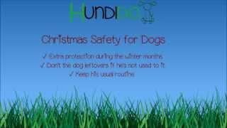 Christmas Safety for Dogs