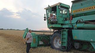 В Добринском районе, села Талицкий Чамлык, в хозяйстве Сергея Сенцова, началась уборочная страда!