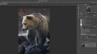 3 Ways to Add a Watermark to Your Photos in Photoshop CC