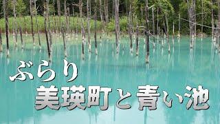 美瑛の青い池や市街をぶらり散策して丘を走る旅｜北海道ドライブ