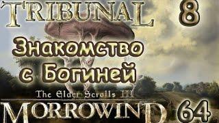 [64/8] TES III Morrowind  [Fullrest Repack v.1,4] Знакомство с Богиней