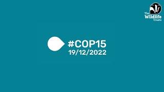 The Wildlife Trusts' #COP15 Update 19/12/2022