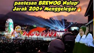 PANTESAN NULUP²‼️ BREWOG AUDIO JARAK JAUH 200 METER JOSS GANDOSS DI KARNAVAL NGABAB PUJON