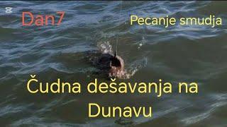 Pecanje smudja*Zimsko pecanje