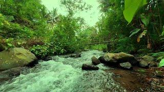 Mountain stream, river sound, nature sounds, water sounds, white noise for sleeping and Relaxation,