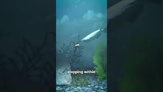 Shoot A Bullet Underwater? 