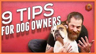 9 Power Tips for Living With a Dog - Foundations for All Dog Owners