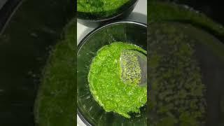 #shorts green chatni #recipe   very easy chatni#chutnirecipe ,#chutney