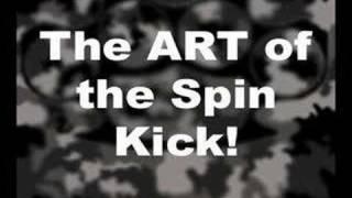 The ART of the spin kick