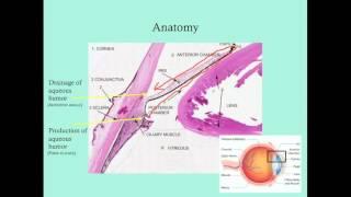 Glaucoma - CRASH! Medical Review Series