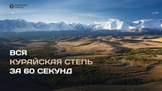 10 фактов о Курайской степи за минуту #курай #алтай #горныйалтай