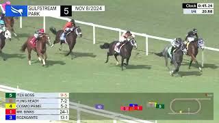 Gulfstream Park Carrera 5 - 8 de Noviembre 2024