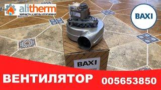 Вентилятор для котла BAXI Eco, Eco 3, Luna, Luna 3, Luna 3 Comfort, Slim JJJ005653850