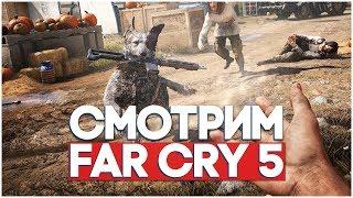 FAR CRY 5 - НОВЫЙ ШЕДЕВР ОТ UBISOFT ИЛИ ОЧЕРЕДНОЙ КАЛЛ?