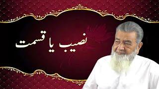 نصیب  یا قسمت | Baba Jee Irfan ul haq