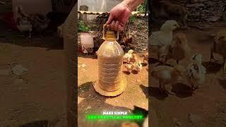 Make simple and practical poultry feeding tools