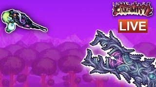 LIVE | Trying to beat the DEVOURER OF GODS | Terraria Calamity Mod Expert Mage