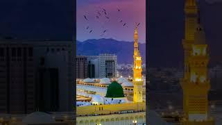 @Dare Nabi Paar Ya Umar bite#prophet biographies, islamic, umar