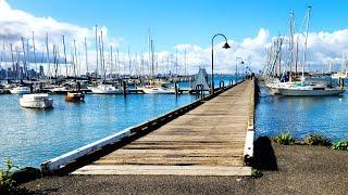 These METRO Piers and Jetties are LOADED with Fish !!