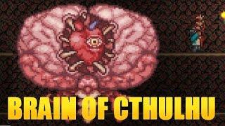 Terraria Bitwy Z Bossami #3 Brain Of Cthulhu